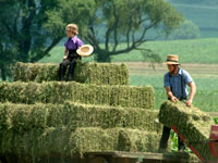 Amish farming community